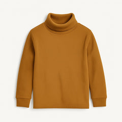 Brown basic high neck