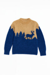 Boys brown and blue lining sweater