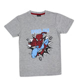 Boys gray Spider-Man T-shirt