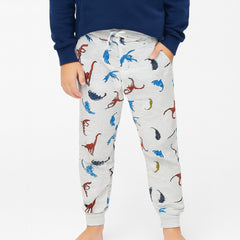 Boys dinosaur trouser