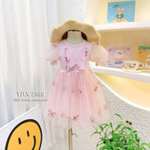 Girls pink butterfly frock