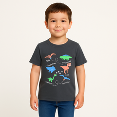 Boys ash gray dinasour t-shirt