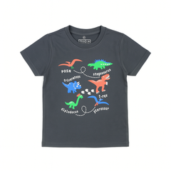 Boys ash gray dinasour t-shirt