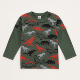 Boys green Dino pattern T-shirt (Last Chance)