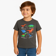 Boys gray dinosaurs t-shirt (Last Chance)