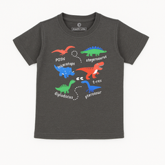 Boys gray dinosaurs t-shirt (Last Chance)