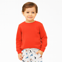 Aero space sweatshirt