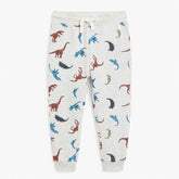 Boys dinosaur trouser