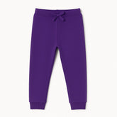 Girls Purple Trouser with Bow Assorted.