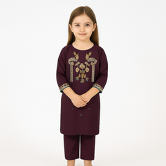 Girls embroidered 2pc