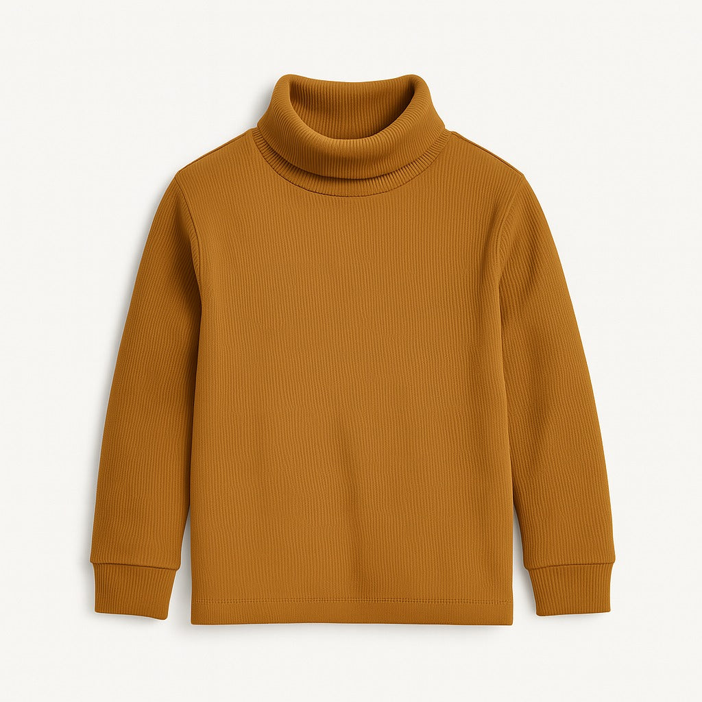 Brown basic high neck