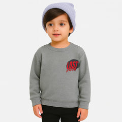 Boys gray lost sweatshirt