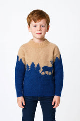 Boys brown and blue lining sweater