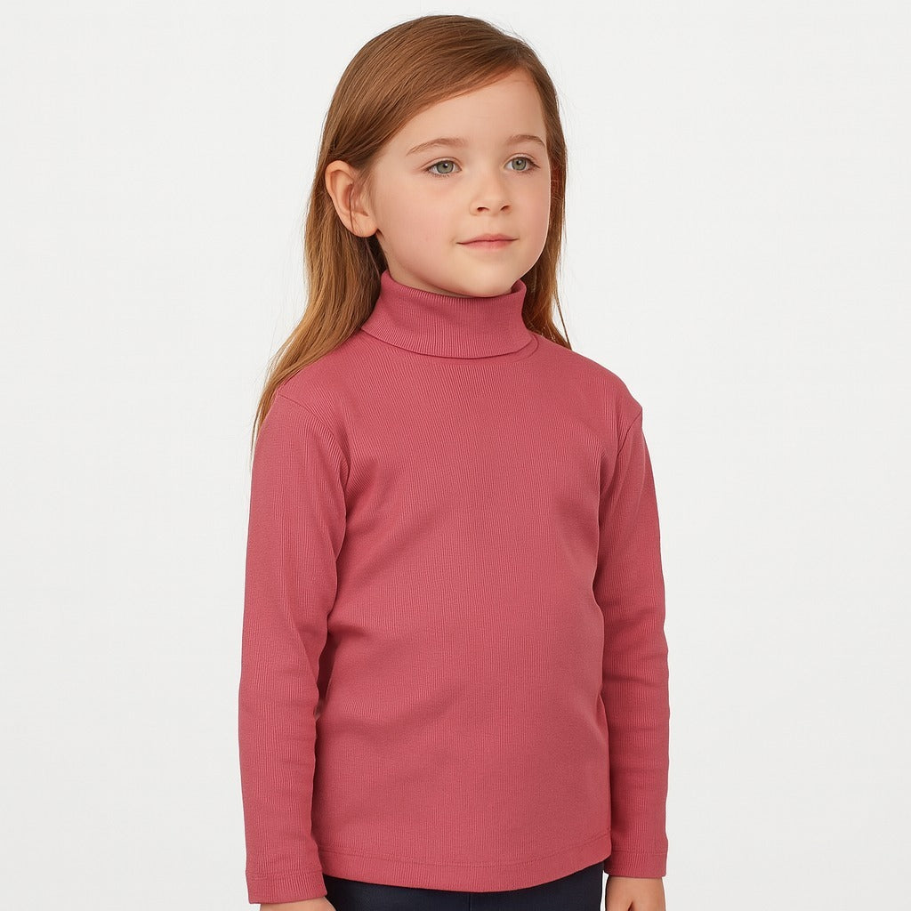 Mehroon basic high neck (Last Chance)