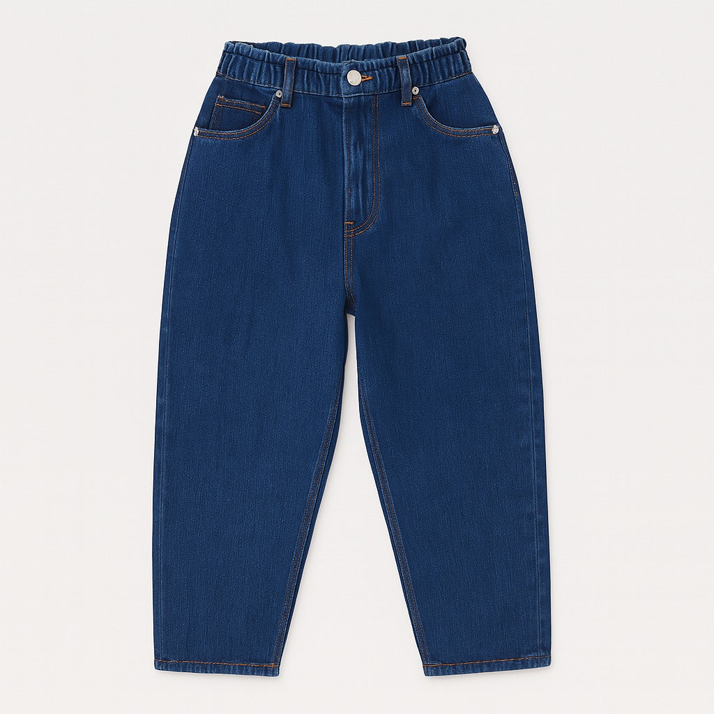 Mens blue jogger pant