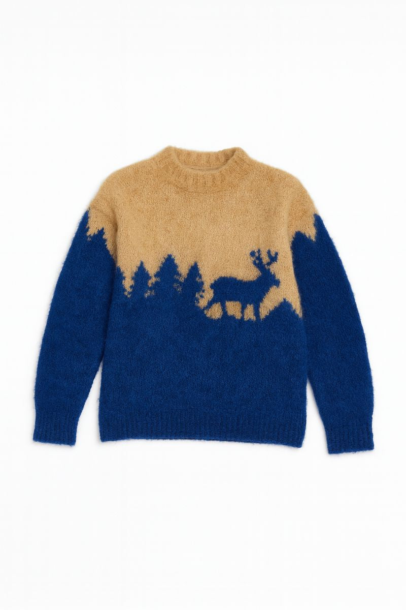 Boys brown and blue lining sweater