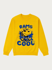 Boys Cool Snoopy Graphic Fleece Sweatshirt