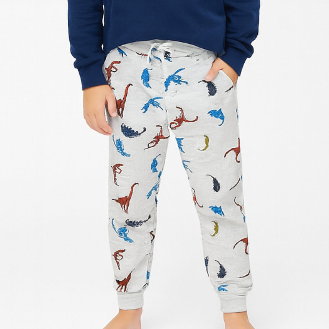 Boys dinosaur trouser