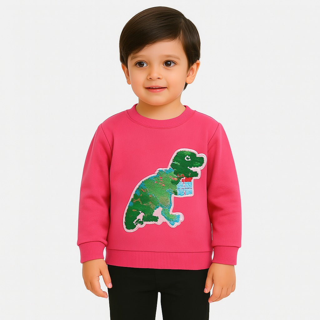 Boys dinosaur sequin sweatshirt (Last Chance)