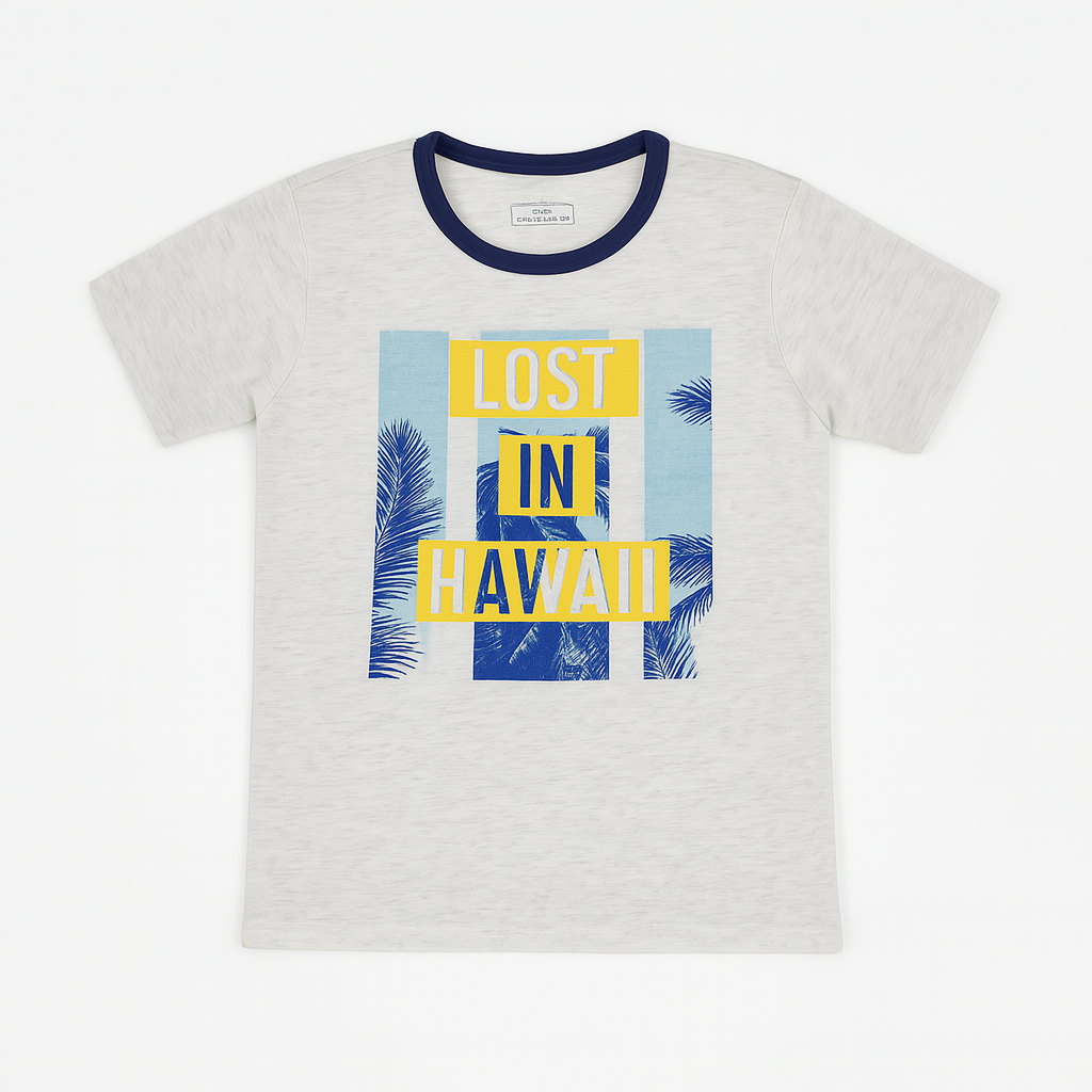 Boys gray Hawaii T-Shirt