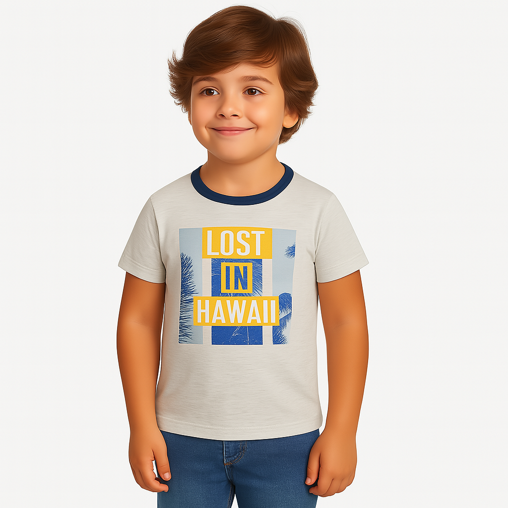 Boys gray Hawaii T-Shirt