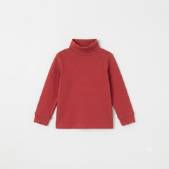 Mahroon basic high neck
