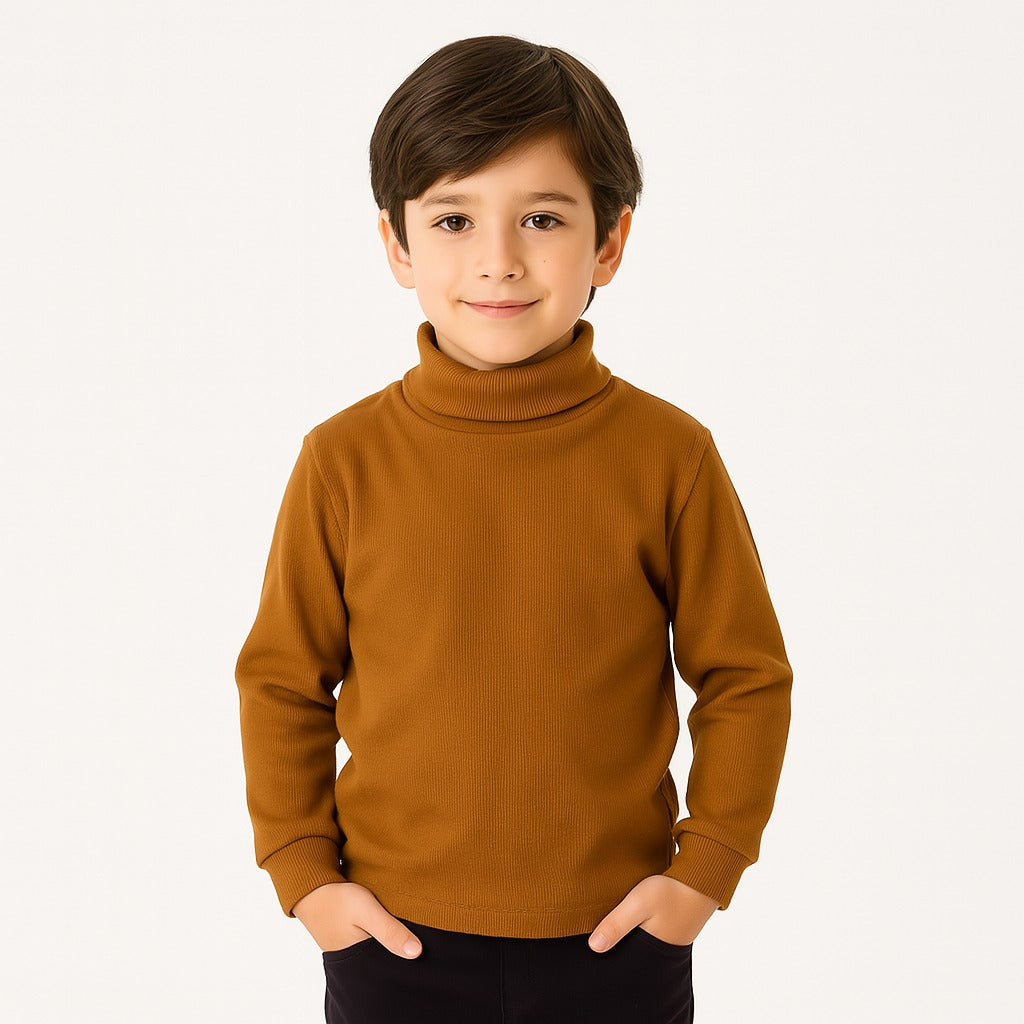 Brown basic high neck